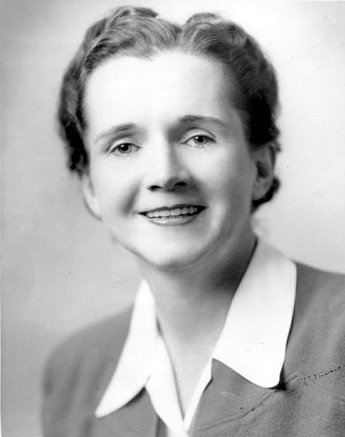Rachel Carson. Imagen del Servicio de Pesca y Vida Silvestre de los Estados Unidos, Dominio público, via Wikimedia Commons.